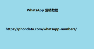 WhatsApp 营销数据