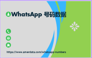 WhatsApp 号码数据